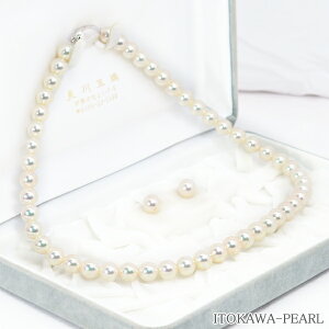 FԎ^2_Zbg^lbNX8mmӕʏt NE-2030