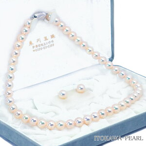 Ԏ^ e2_Zbg^lbNX8.5mmӕʏt NE-2231