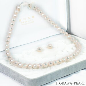 Ԏ^2_Zbg^lbNX8mmӕʏt NE-2254