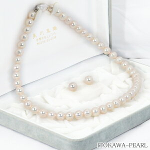 Ԏ^2_Zbg^lbNX8mmӕʏt NE-2405