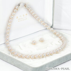 I[VԎ^2_Zbg^lbNX8mmӕʏt NE-2423