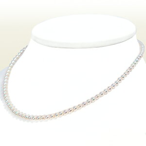 ^xr[p[lbNX3.5`4mmAWX^[EK18YG N-12555