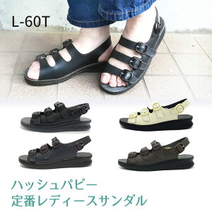 nbVps[yHush PuppieszT_ fB[X L|60NT RtH[g JWA obN@xg yʁ@OΉ  xXgZ[