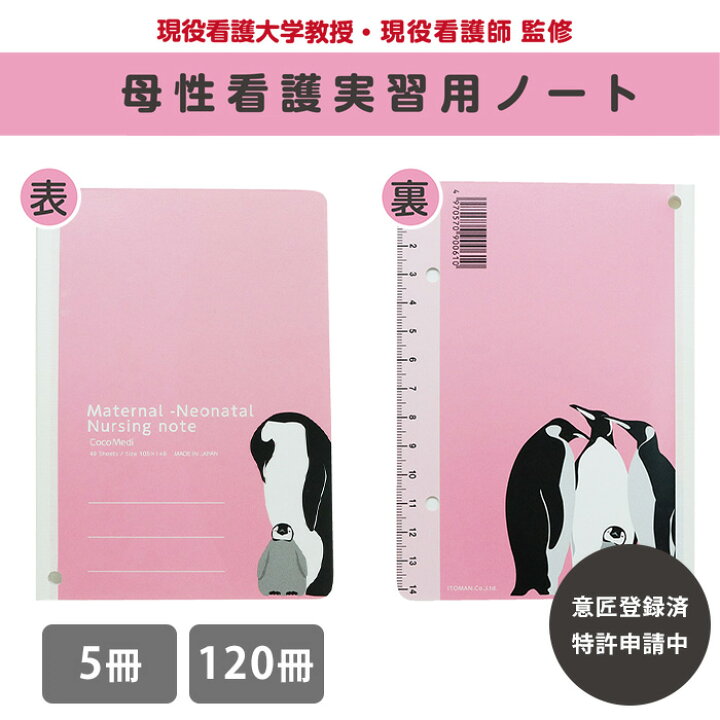 楽天市場】看護学校教授 看護師 監修 看護学生 実習用ノート 5冊 120冊 