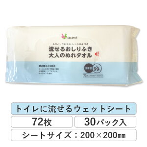 邨ӂ l̂ʂ^I EFbg^I 72 30pbN aH EFbgeBbV EFbgV[g 99% ێ mAR[ ނւ  { 69072001 _IST [