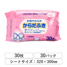 【4月中旬以降 出荷予定】大成薬品工業 大判 やわらか からだふき ウェットタオル 30枚 電子レンジ対応可 _IST ウェットティッシュ ウェットシート 電子レンジ対応可 ノンアルコール おむつ替え 介護 81030001_IST [送料無料]