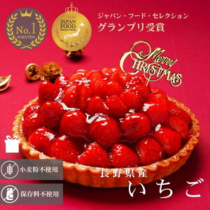 y NX}XP[L sbNt 2025 z ^g \ WpEt[hEZNVō܎ XC[c P[L ^g n 쌧Y  t[c z[ 5 15cm  Ⓚ 