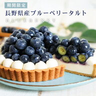 【期間限定】旬の長野県産ブルーベリータルト 5号 誕生日ケーキ・フルーツタルト グルテンフリー 小麦粉…