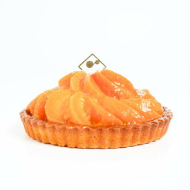 あんずタルト スイーツ ケーキ タルト 生地 長野県産 あんず ハーコット フルーツ ホール 5号 取り寄せ 冷凍 ギフト 贈り物 誕生日 バースデー 結婚 記念日 プレゼント 祝い お祝い お礼 お返し グルテンフリー 低糖質 糖質オフ