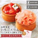 母の日限定【ギフト・ミニタルト2個セット】長野県産いちご りんご タルト スイーツ ケーキ フルーツタルト グルテン…