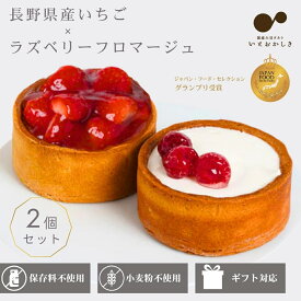 【ミニタルト2個セット】長野県産いちご・ラズベリーフロマージュ スイーツ ケーキ タルト 配送 取り寄せ 冷凍 ギフト 贈り物 誕生日 バースデー 結婚 記念日 プレゼント クリスマス 七五三 祝い お祝い お礼 お返し グルテンフリー白砂糖不使用 小麦粉不使用