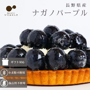 t[c^g Oet[ XC[c Mtg a Ⓚ  ґiKmp[v^g 嗱iKmp[vՂ z[P[L o[Xf[P[L 5 a15cm u쌧Yi