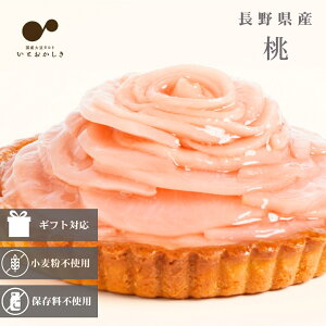 Oet[ t[c^g Mtg a Ⓚ  XC[c  s[` ^g z[P[L o[Xf[P[L 5a15cm u쌧Yvʂȓp̂ƂĂ^g 蕨