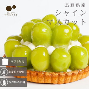 VC}XJbg^g XC[c P[L ^g 쌧Y VC}XJbg t[c z[ 5 15cm z   Mtg Ⓚ a o[Xf[  LO v[g 