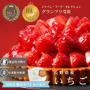 【父の日ギフト】いちごタルト 予約 ジャパン・フード・セレクション最高賞受賞 スイーツ ケーキ タルト 長野県産 いちご フルーツ ホール 5号 15cm 取り寄せ 冷凍 ギフト 贈り物 誕生日 小麦粉不使用 グルテンフリー カーネーション 花 花束