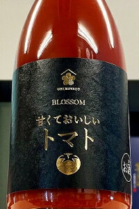 ~Th ÂĂg}g@720mlyޗǌs ~Th𑢁z