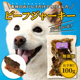 いち推し【ポイント5倍】獣医も絶賛/ポイント消化/お試し送料無料 犬 おやつ 無添加 国産 いとしご 牛肉ジャーキー 100g×3P 犬用 ペット用 小型犬 中型犬 大型犬 子犬 シニア犬 | ビーフ 犬のおやつ いぬ ハード 硬い 予防 健康 ペットフード havepet