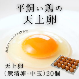 卵 新鮮 生卵 20個入り 高級卵 平飼い卵 糸島産 糸島ファームハウスUOVO 卵料理 スイーツ たまご