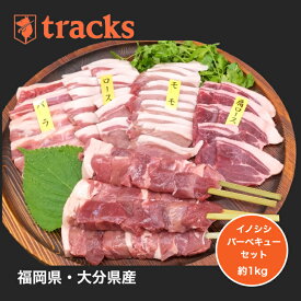 【楽天スーパーSALEポイント20倍　6/4 20：00～6/11 1：59　】国産　九州産　猪肉　バーベキューセット　焼肉用　お歳暮　約1kg　3〜4人前　ジビエ肉　送料無料　のし対応　ギフト　贈答用　プレゼント　高たんぱく　お取り寄せ