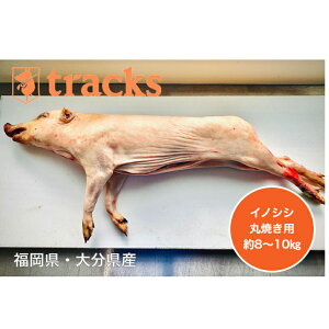 Y@@ۏĂp@Ɩp@8`10KG@WrG@o[xL[@@WrG