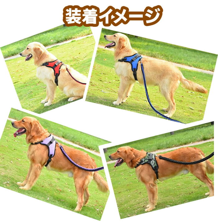 楽天市場】犬 ハーネス 胴輪 首輪 持ち手付き 中型犬 大型犬 小型犬 柴犬 ステップハーネス ウェアハーネス 犬用 介護用 首輪 ハンドル付き 成犬用 老犬用 ハーネス ペット用品 送料無料 : イトー商店 楽天市場】犬 ハーネス 胴輪 首輪 持ち手付き 中型犬 大型犬 小型犬 柴犬 ステップハーネス ウェアハーネス 犬用 介護用 首輪 ハンドル付き 成犬用 老犬用 ハーネス ペット用品 送料無料 : イトー商店