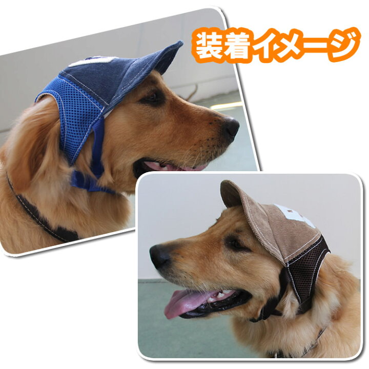 楽天市場 犬帽子 猫帽子 ワンちゃん用帽子 ペット用帽子 犬猫帽子 ネコ用帽子 犬服 犬の服 猫服 猫の服 犬用品 ドッグウェア 犬アクセサリー ベースボールキャップ イトー商店