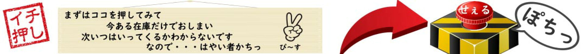 イチオシ商品