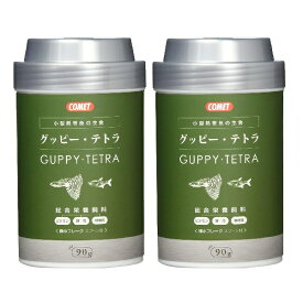 コメット COMET イトスイ【2本セット】グッピーテトラの主食 90g 熱帯魚 餌 フレーク フレークフード グッピー グッピーの餌 グッピーフード ネオンテトラの餌 ネオンテトラフード カラシンの餌 カラシン 熱帯魚 小型熱帯魚 メーカー直販 送料無料