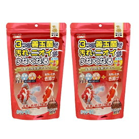 コメット COMET イトスイ【2袋セット】金魚の主食納豆菌色揚げ中粒 430g 金魚のエサ 金魚の餌 金魚フード 金魚 きんぎょ 鯉の餌 錦鯉の餌 幼鯉の餌 中粒タイプ 浮上性 メーカー直販 送料無料