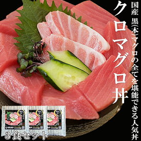 【特選国産】本マグロ丼3食セット クロマグロ マグロ 刺身 中トロ 赤身 本マグロ 本まぐろ マグロ丼 鮪 まぐろ 漬け丼 マグロ漬け 絶品 お取り寄せ グルメ 贈答用 高級 鮪丼 鉄火丼 大トロ 中とろ 120g 海鮮 美味しいお取り寄せ ギフト プレゼント
