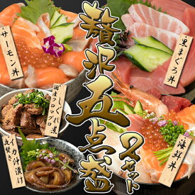 【贅沢5点盛 2セット】 国産本マグロ丼 海鮮丼 サーモン丼 イカ沖漬け クロマグロしぐれ煮　本マグロ 本鮪 イカ沖漬け 海鮮セット 沖漬け 海鮮丼の具 高級 お取り寄せ 絶品 ごちそう 海鮮 家飲み おつまみ 美味しいお取り寄せ グルメ おせち おせち料理 ギフト