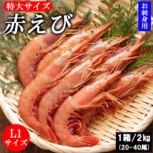 y|Cg3{zԃGr Ԃ ԊCV 2kg 4kg (1/2kg)  A[`Ԃ L1TCY 20-40 LGr ^TCY  Gr CCV N il^  AJGr Hp }Ⓚ 