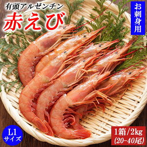 y|Cg3{zԂ A[`Ԃ 2kg 4kg (1/2kg)  L1TCY 20-40 ^TCY ԊCV LGr  Gr CN il^  AJGr Hp }Ⓚ hg hg 