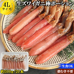 y|Cg5{zYCKj |[V 500g 1kg 4L (1P/20{)  Jj|[V r|[V YCKj 킢I Jj  ނg r hg H Ԃ Jj p Ε 