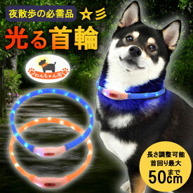 首輪 犬 光る首輪 送料無料 犬の首輪 犬用品 夜間発光首輪 USB充電式 LEDライト 散歩 安全 ドッググッズ 安全グッズ 夜用 軽量 くびわ 犬 夜散歩 ITFC MLD-mp0020