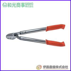 ���C�I�����}�n�T�~ 65cm LOWE2065 �y�a������/WAKO�z