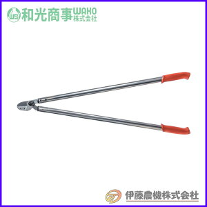 ���C�I�����}�n�T�~ 100cm LOWE20100 �y�a������/WAKO�z