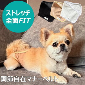 【全面くっつく】マナーベルト 犬 ありそうでなかった！！サイズに悩まない ずれない 男の子 オス用 伸びる 伸縮 高級 接触冷感 マナーパンツ ベルト 洗える マナーウェア マナー用品 おむつ 介護 ドックウェア 服 しつけ