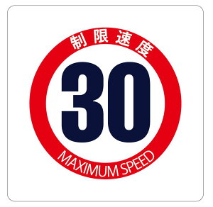 J[sNgTCXebJ[@T-4@x@30km/hȒP\t@XebJ[
