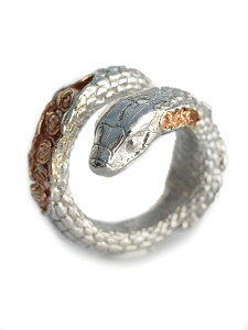 HOASHI YUSUKE zAVEXP y u͂܂vԂHׂւ̃O ( Vo[ × sNS[h ) z[ Ki ] w Aj}  wr Xl[N KN o [Y t[ Mtg yA v