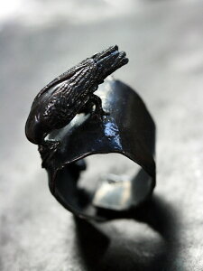 HOASHI YUSUKE zAVEXP y S~ z[ Ki ] O w Aj}  JX G  AeB[NJ[   ubN 925 yA Mtg v[g jZbNX Y fB[