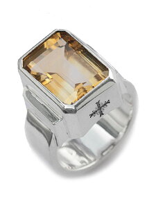 Ark silver accessories A[NVo[ANZT[Y y WGO ( Vg ) z[ Ki ] w Vo[925 gh Ԃ 傫  X^[OVo[  킢  v[