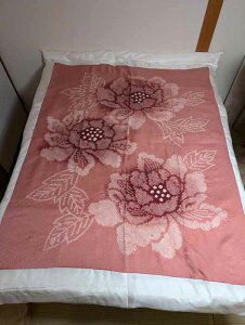 y߂̐^ȂӂƂz dqi^ȕzciOj[Y 2.0kg