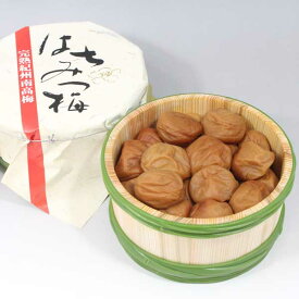 完熟　紀州南高梅　はちみつ漬け600g（木樽入） UHT-35 【産地直送、送料無料、代引不可】