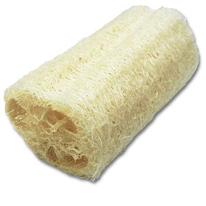 VRւ {fBEX|W