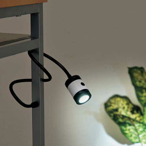 �i�݌Ɍ���j���˂��˃��C�g BA253