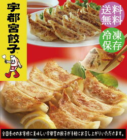 宇都宮餃子「玉ちゃん餃子」2種セット TM-50【産地直送、送料無料、代引不可】