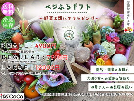 【送料無料】ベジふるギフト〜季節の野菜＆果物　開店祝い　贈り物　内祝い　旬の野菜　旬の果物　お中元　お歳暮