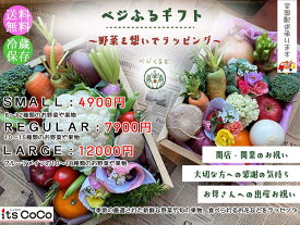 【送料無料】ベジふるギフト～季節の野菜＆果物　開店祝い　贈り物　内祝い　旬の野菜　旬の果物　お中元　お歳暮