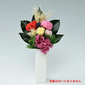 yz vU[uht[ 䕧dpԁilj M20-586